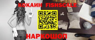молекула духа Кингисепп
