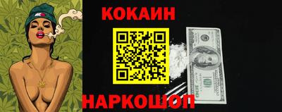 молекула духа Кингисепп