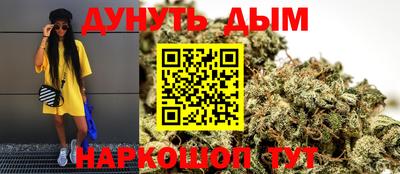 молекула духа Кингисепп