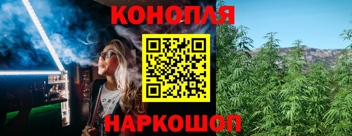 Бошки Шишки SATIVA & INDICA  Канабис гибрид  Кинель  Вход с VPN  Бошки Шишки семена 